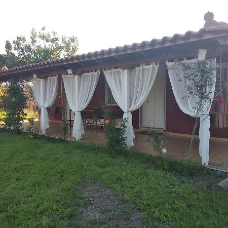 Olive Garden Guest House キパリシア エクステリア 写真