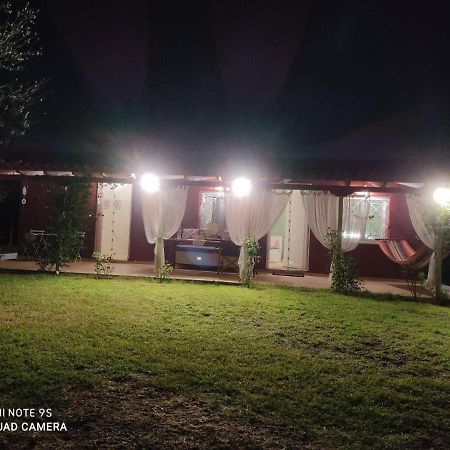 Olive Garden Guest House キパリシア エクステリア 写真