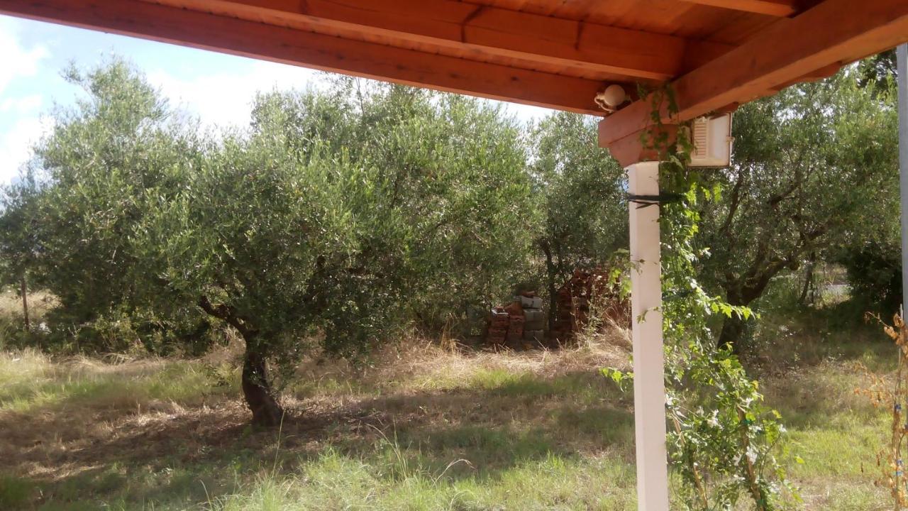 Olive Garden Guest House キパリシア エクステリア 写真