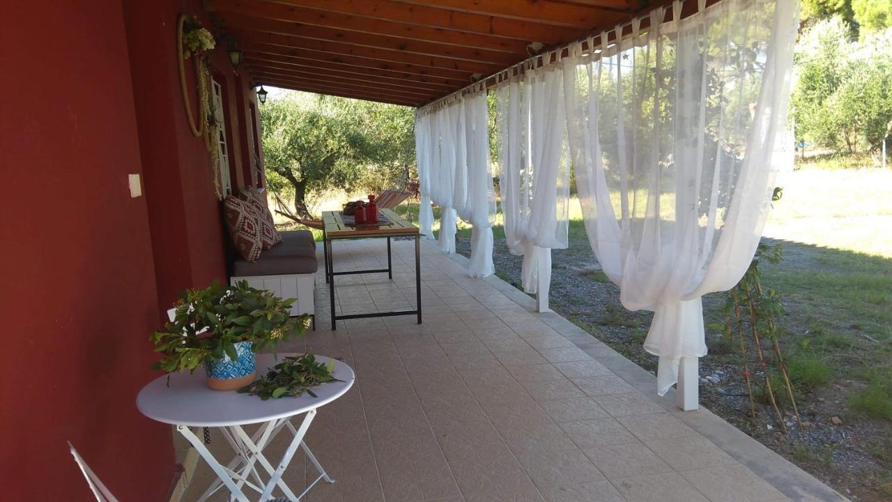 Olive Garden Guest House キパリシア エクステリア 写真