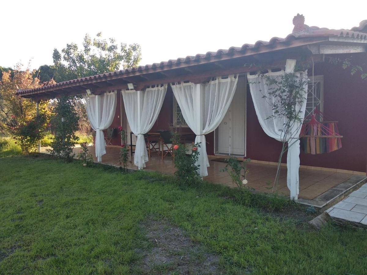 Olive Garden Guest House キパリシア エクステリア 写真